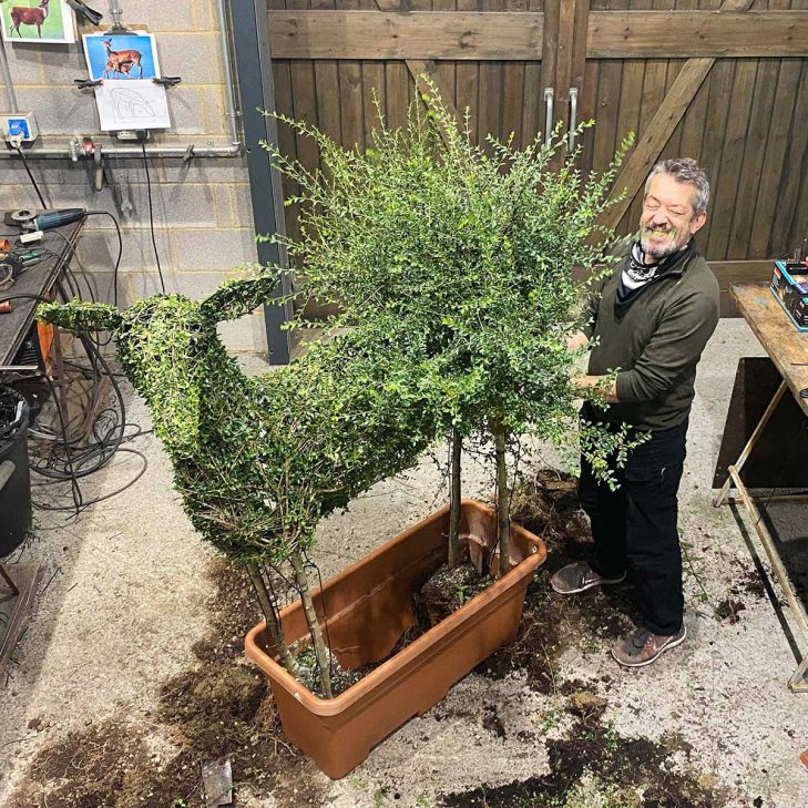 Agrumi topiarist planting up a deer