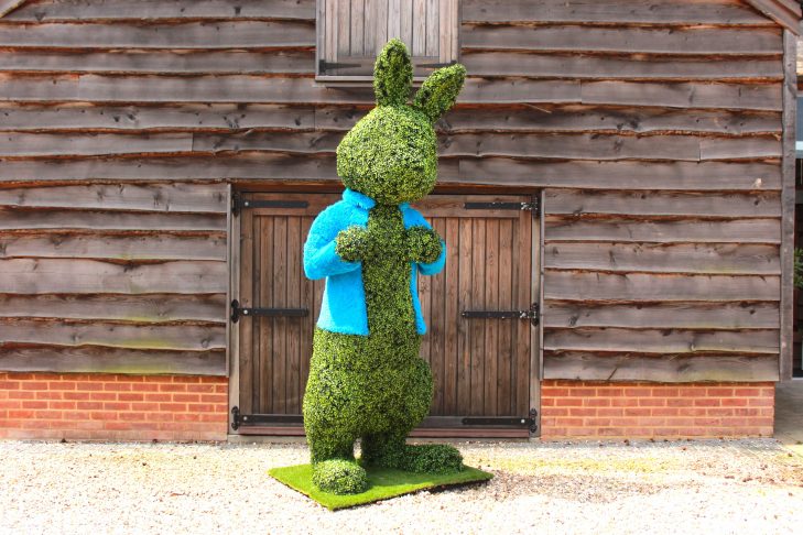 Peter Rabbit - covered in artificial Boxwood with blue grass jacket
