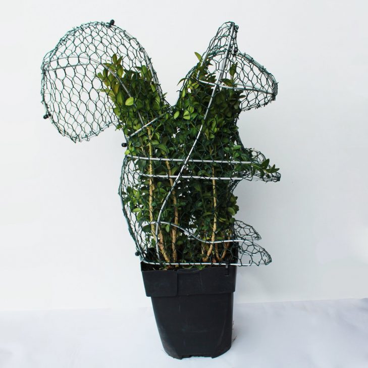 A squirrel shaped DIY topiary frame