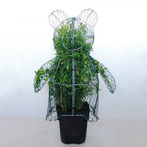 Teddy bear shaped DIY Topiary frame
