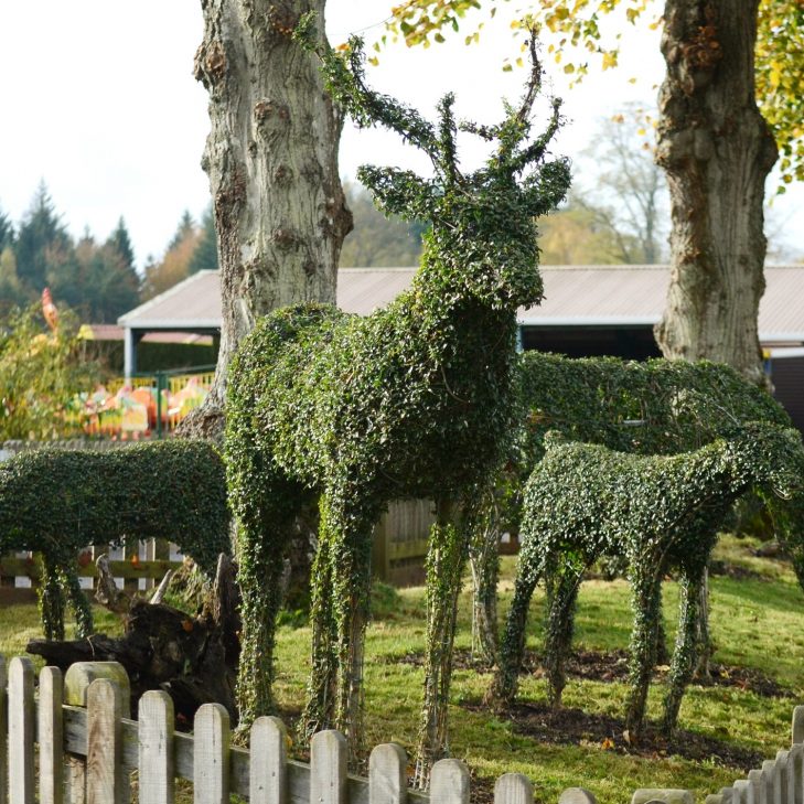 Ligustrum Topiary Deer Family